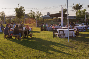 Dinner Under the Stars